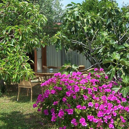 Hotel Club Ragno D'Oro Olbia Tempio Luaran gambar