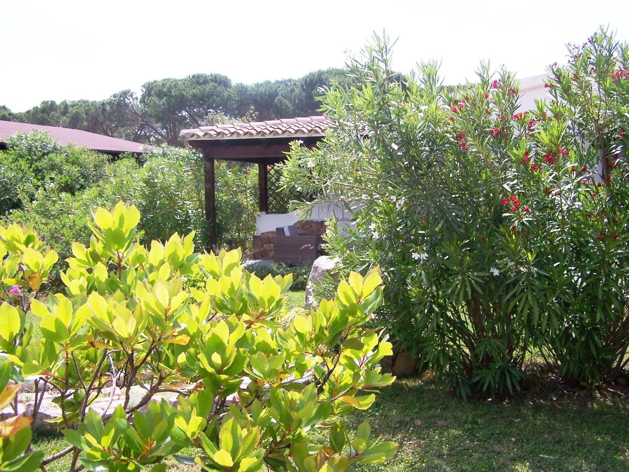 Hotel Club Ragno D'Oro Olbia Tempio Luaran gambar