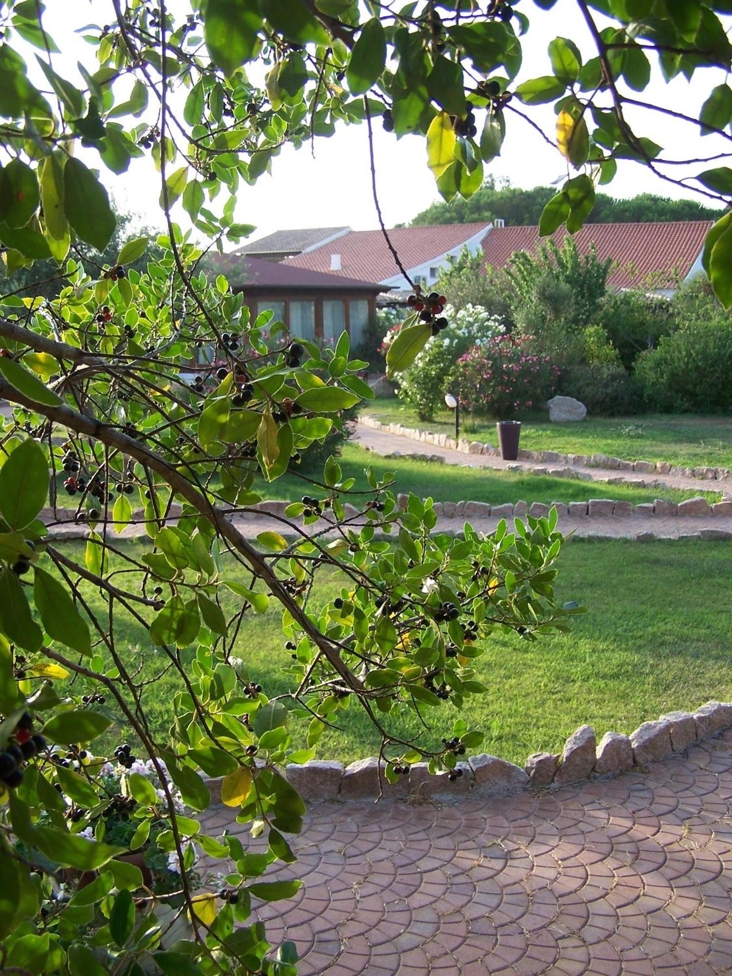 Hotel Club Ragno D'Oro Olbia Tempio Luaran gambar