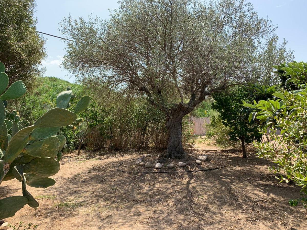 Hotel Club Ragno D'Oro Olbia Tempio Luaran gambar